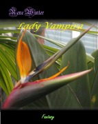 Cover-Bild zum Titel 'Lady Vampira' von 'Rene Winter'
