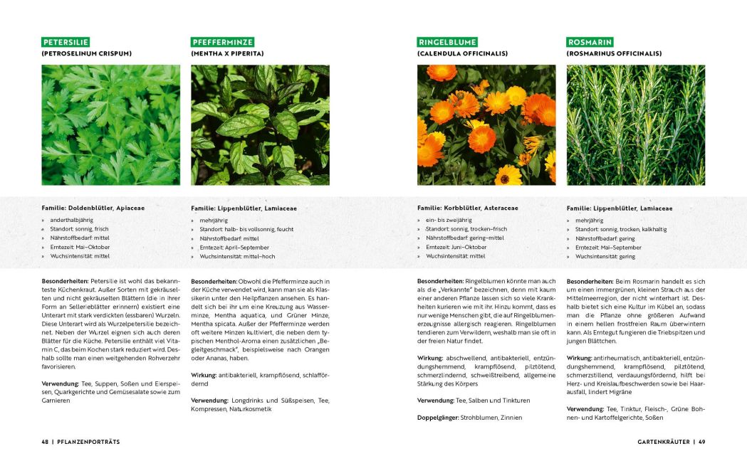 InsideView 6