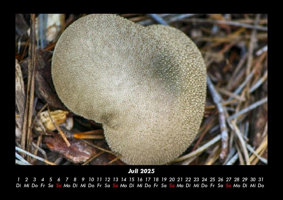 InsideView 11