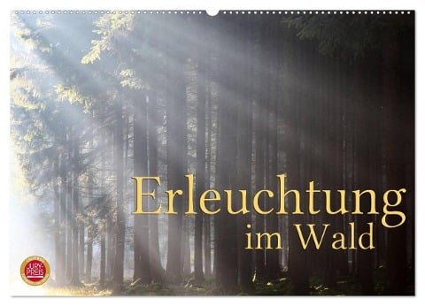 Erleuchtung im Wald (Wandkalender 2025 DIN A2 quer), CALVENDO Monatskalender - Martina Cross