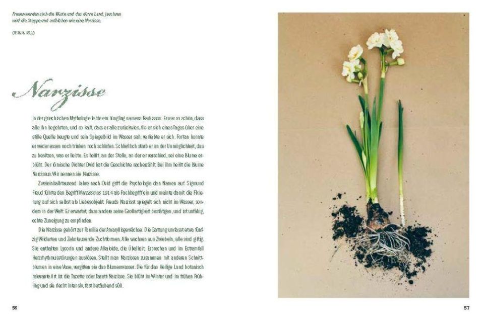 InsideView 5