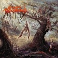 Cover-Bild zum Titel 'Clouds of Confusion' von 'Phlebotomized'