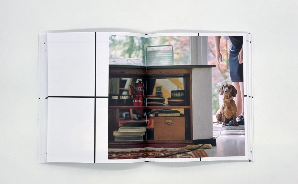 InsideView 11