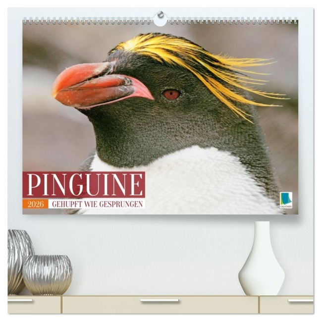 Pinguine: Gehupft wie gesprungen (hochwertiger Premium Wandkalender 2026 DIN A2 quer), Kunstdruck in Hochglanz - Calvendo Calvendo