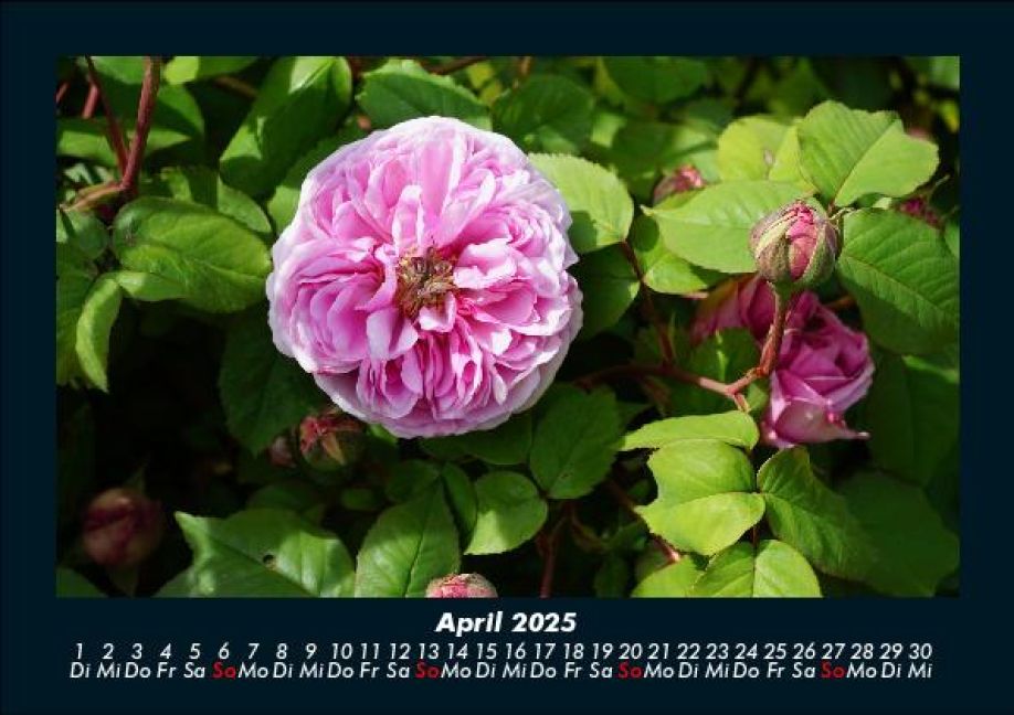 InsideView 8