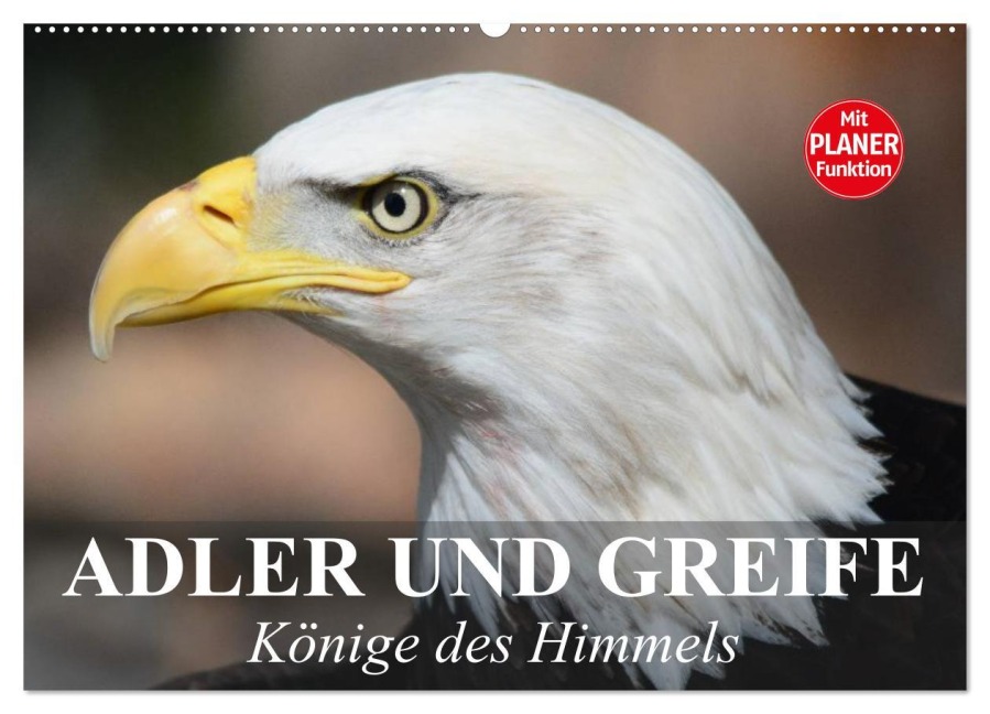 Adler und Greife. Könige des Himmels (Wandkalender 2026 DIN A2 quer), CALVENDO Monatskalender - Elisabeth Stanzer