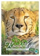 Cover-Bild zum Titel 'Raubkatzen: Die Jäger auf leisen Pfoten (Wandkalender 2026 DIN A2 hoch), CALVENDO Monatskalender' von 'Calvendo Calvendo'