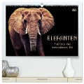 Elefanten - Portraits der besonderen Art (hochwertiger Premium Wandkalender 2025 DIN A2 quer), Kunstdruck in Hochglanz - AD DESIGN Photo PhotoArt Dölling