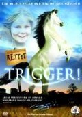Cover-Bild zum Titel 'Rettet Trigger!' von 'Monica Boracco, Stein Berge Svendsen'