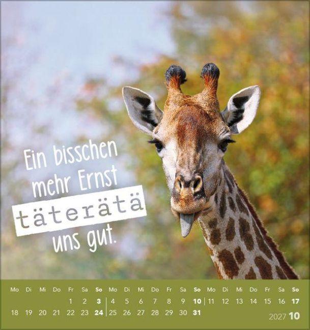 InsideView 10