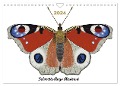 Schmetterlinge illustriert (Wandkalender 2024 DIN A4 quer), CALVENDO Monatskalender - 