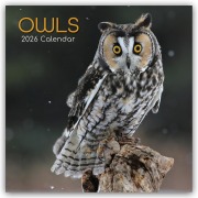 Owls - Eulen 2026 - 16-Monatskalender - Gifted Stationery Co. Ltd