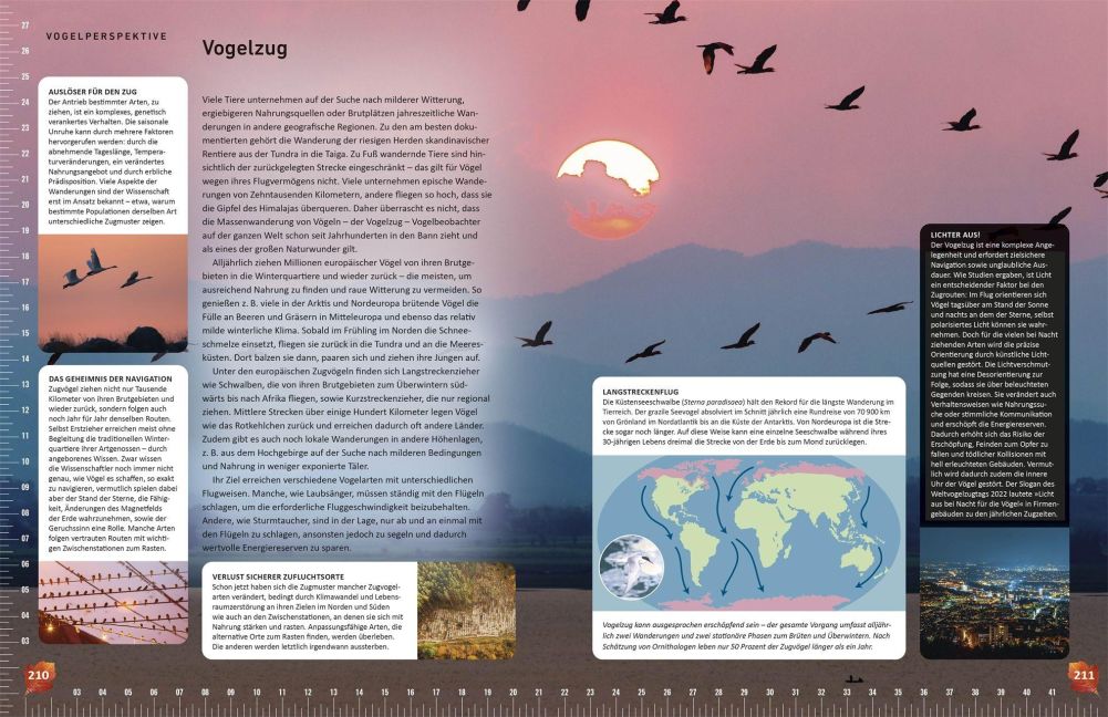 InsideView 8