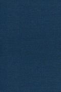 Cover-Bild zum Titel 'Apostolic Breakthrough' von 'Bill Vincent'