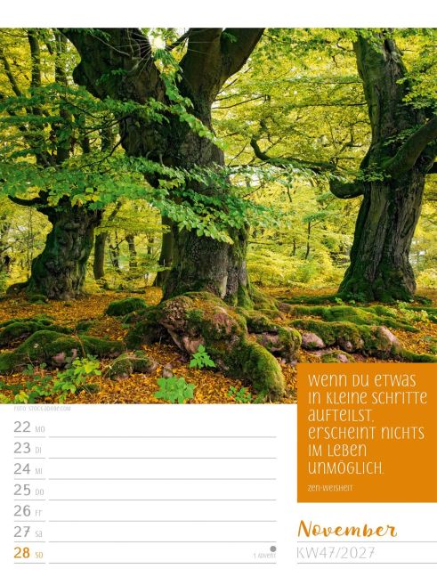 InsideView 51