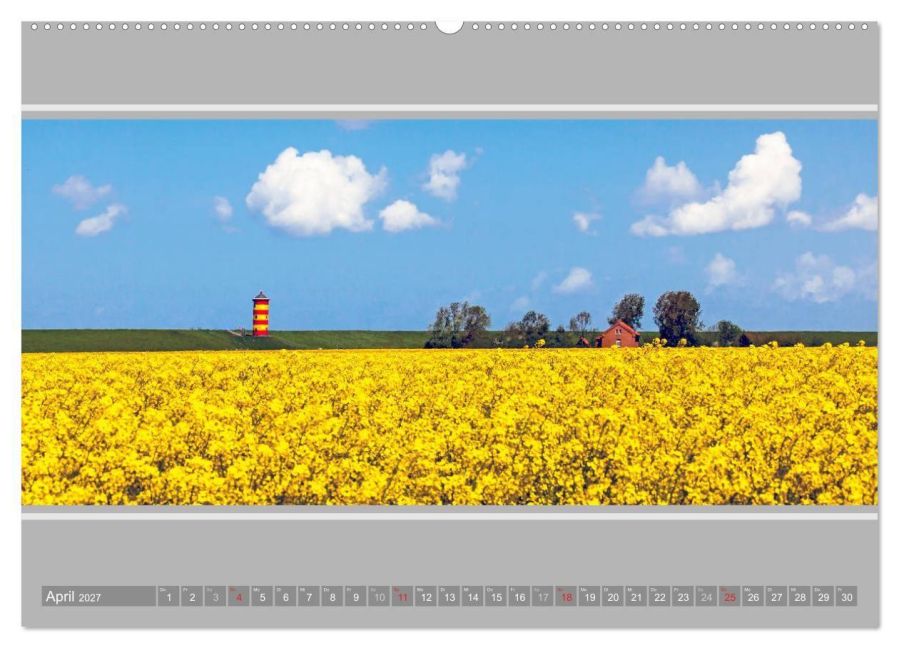InsideView 8