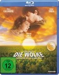 Cover-Bild zum Titel 'Die Wolke' von 'Jane Ainscough, Marco Kreuzpaintner, Gudrun Pausewang, Max Berghaus, Stefan Hansen'