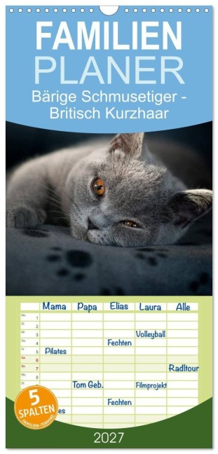 Familienplaner 2027 - Bärige Schmusetiger - Britisch Kurzhaar mit 5 Spalten (Wandkalender, 21 x 45 cm) CALVENDO - Inge Zimmermann-Probst