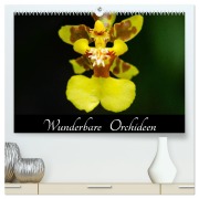Cover-Bild zum Titel 'Wunderbare Orchideen (hochwertiger Premium Wandkalender 2026 DIN A2 quer), Kunstdruck in Hochglanz' von 'Jürgen Wöhlke'