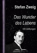Cover-Bild zum Titel 'Das Wunder des Lebens' von 'Stefan Zweig'