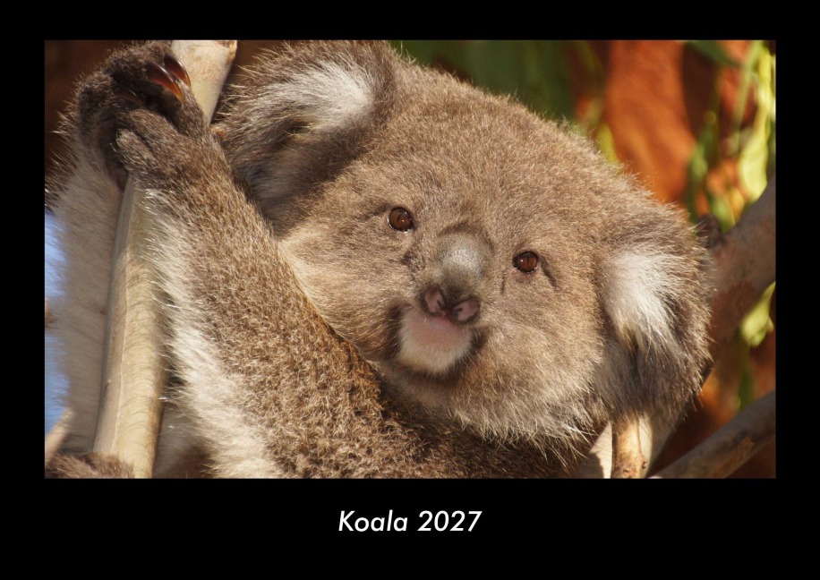 Koala 2027 Fotokalender DIN A3 - Tobias Becker