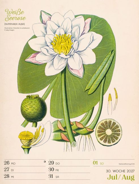 InsideView 34