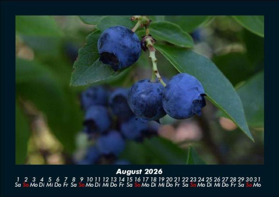 InsideView 12
