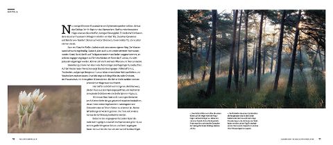 InsideView 6