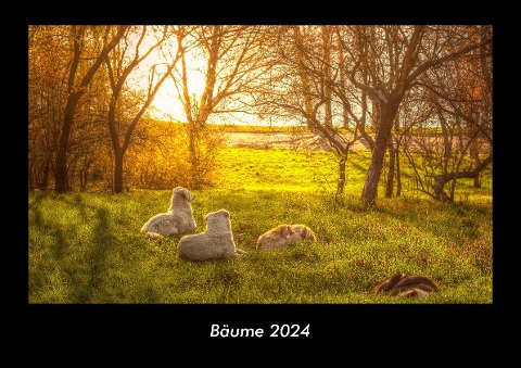 Bäume 2024 Fotokalender DIN A3 - Tobias Becker