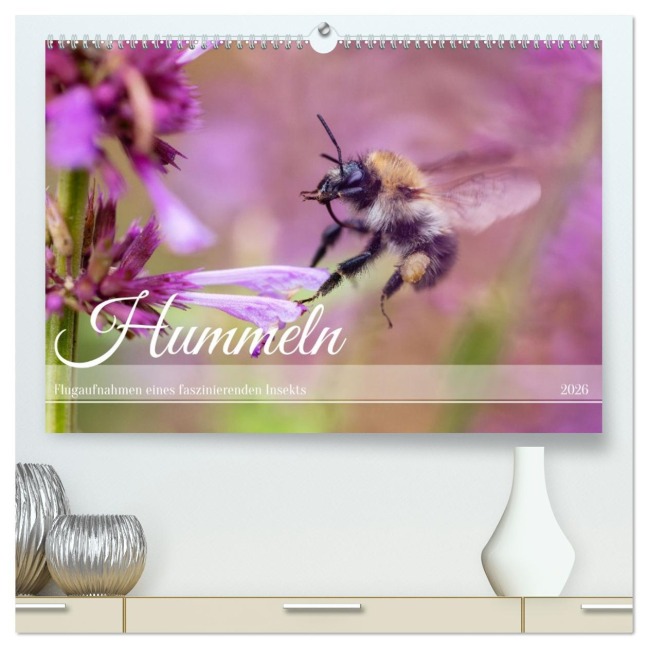 Hummeln - Flugaufnahmen eines faszinierenden Insekts (hochwertiger Premium Wandkalender 2026 DIN A2 quer), Kunstdruck in Hochglanz - Christian Müller