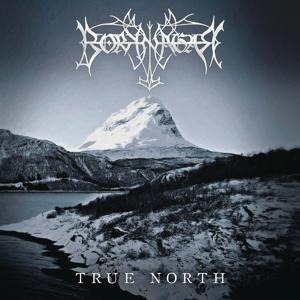 True North - Borknagar