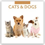Cats & Dogs - Katzen & Hunde 2026 - 16-Monatskalender - Robin Red