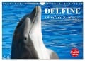 Delfine - Lächelnde Intelligenz (Wandkalender 2025 DIN A4 quer), CALVENDO Monatskalender - Elisabeth Stanzer