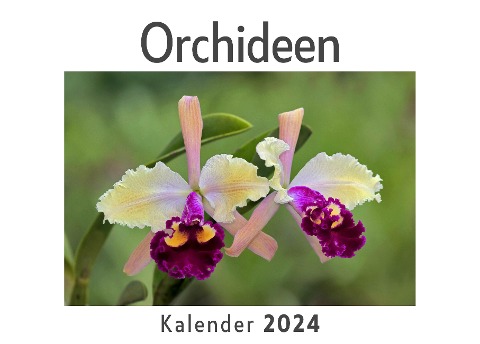 Orchideen (Wandkalender 2024, Kalender DIN A4 quer, Monatskalender im Querformat mit Kalendarium, Das perfekte Geschenk) - Anna Müller