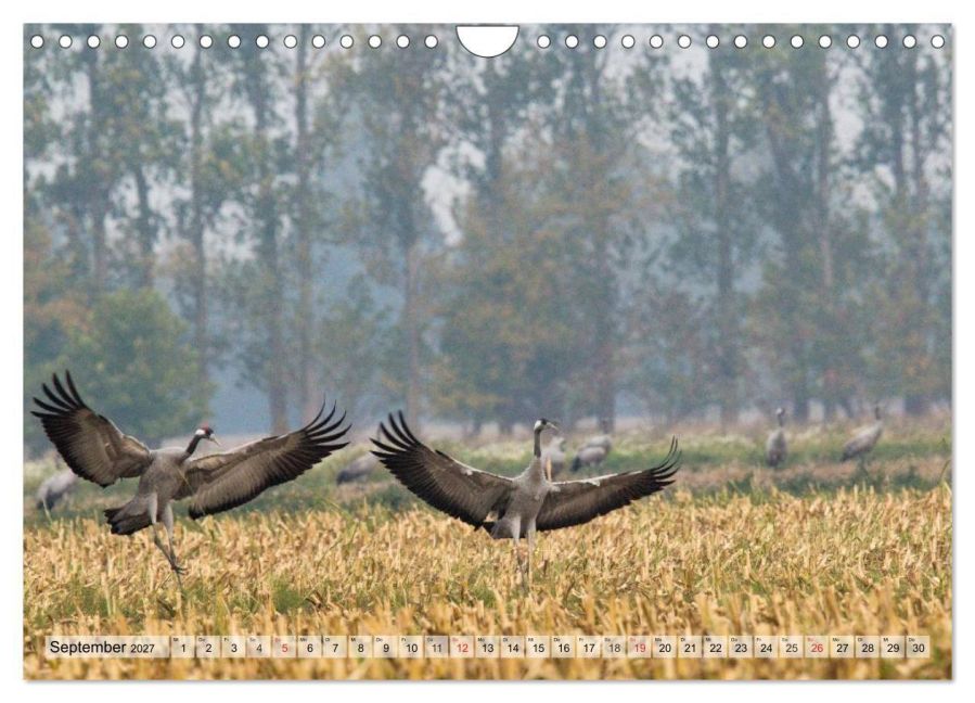 InsideView 14