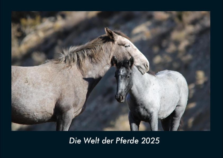 Die Welt der Pferde 2025 Fotokalender DIN A4 - Tobias Becker
