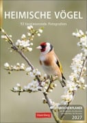 Cover-Bild zum Titel 'Heimische Vögel Wochenplaner 2027 - 53 faszinierende Fotografien' von 'Markus Hattstein'