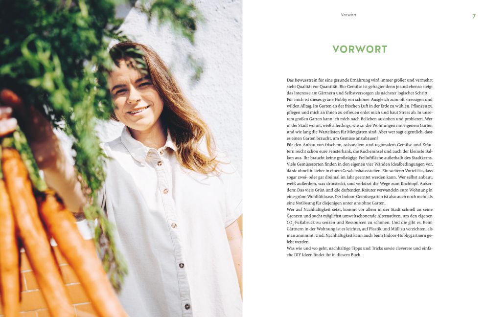 InsideView 2