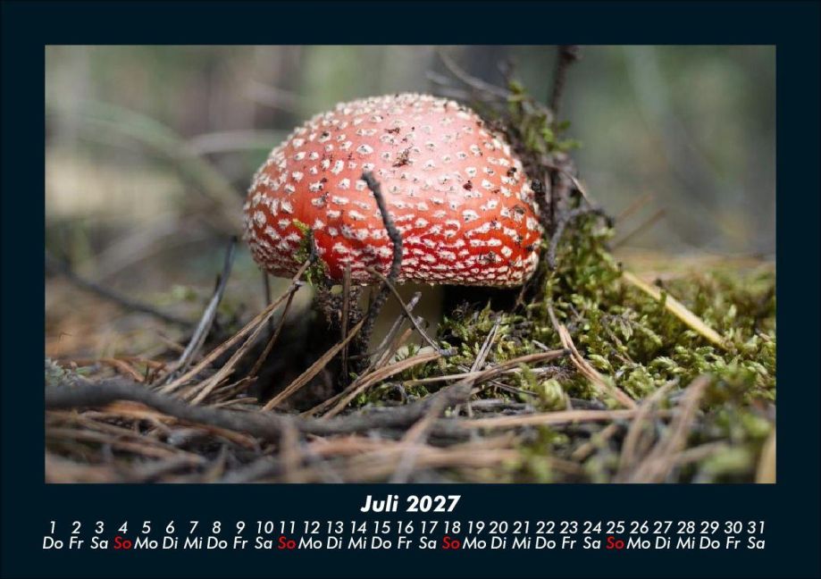 InsideView 11