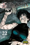 Cover-Bild zum Titel 'JUJUTSU KAISEN 22' von ''