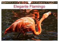 Cover-Bild zum Titel 'Elegante Flamingo (Wandkalender 2026 DIN A4 quer), CALVENDO Monatskalender' von 'Kattobello Kattobello'
