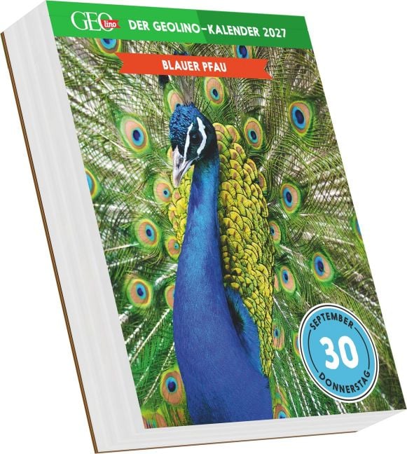 InsideView 3
