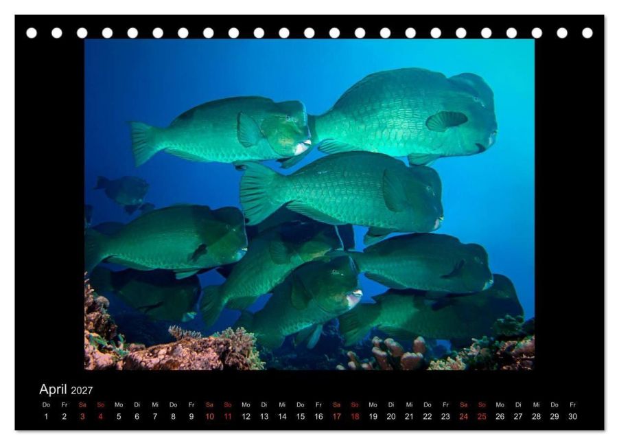 InsideView 9