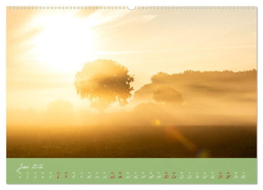 InsideView 11
