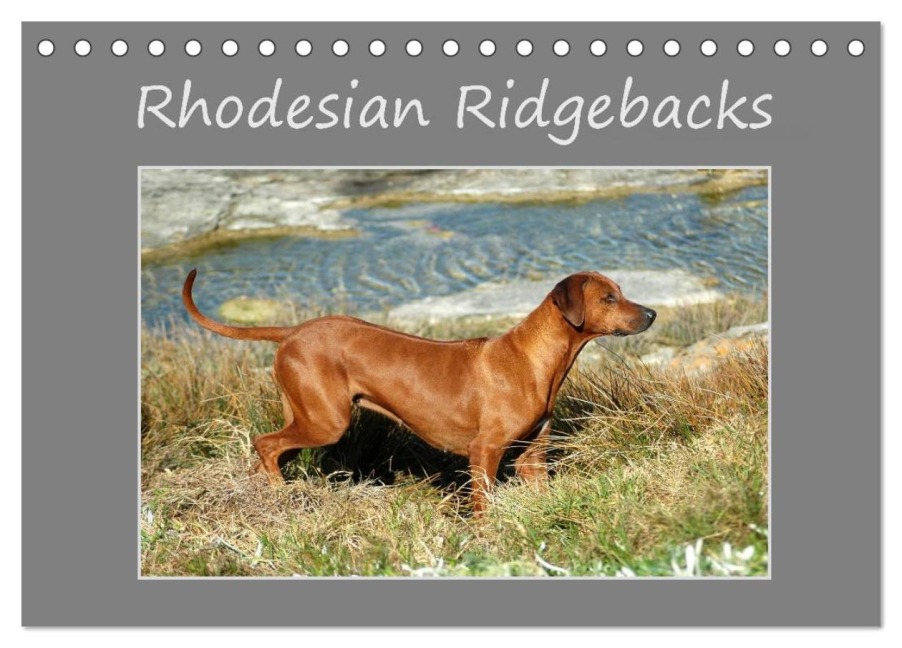 Rhodesian Ridgebacks (Tischkalender 2026 DIN A5 quer), CALVENDO Monatskalender - Anke van Wyk - www. germanpix. net