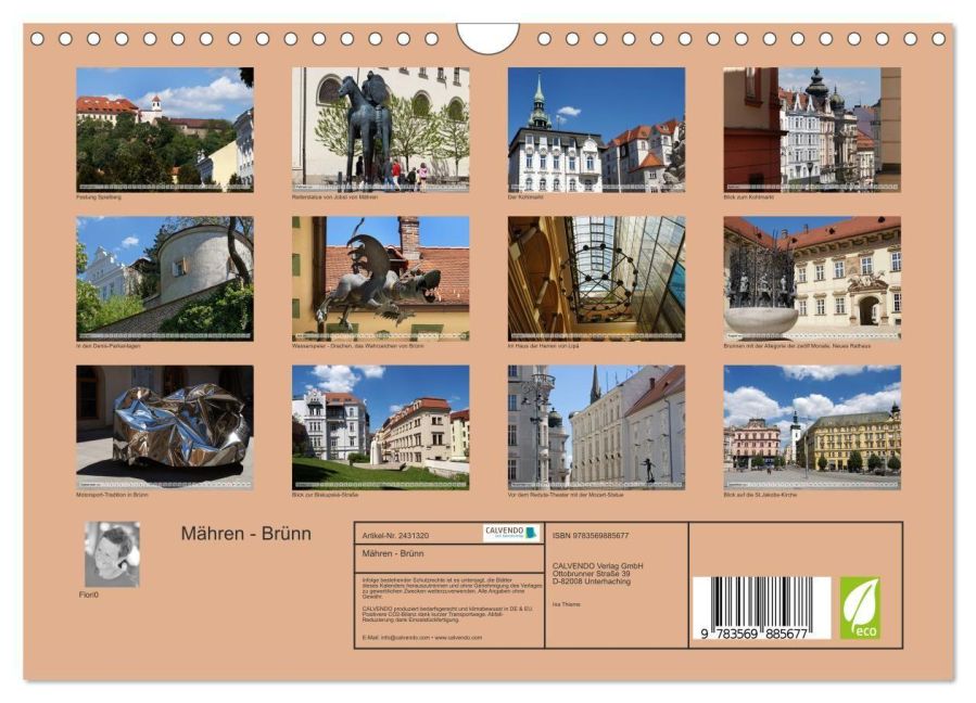 InsideView 5