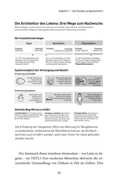 InsideView 54