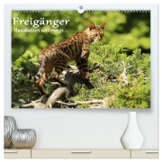 Cover-Bild zum Titel 'Freigänger - Hauskatzen unterwegs (hochwertiger Premium Wandkalender 2026 DIN A2 quer), Kunstdruck in Hochglanz' von 'Werner Schmäing'