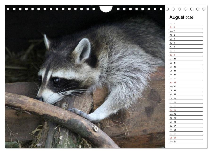 InsideView 13