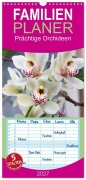 Cover-Bild zum Titel 'Familienplaner 2027 - Prächtige Orchideen mit 5 Spalten (Wandkalender, 21 x 45 cm) CALVENDO' von 'Gisela Kruse'